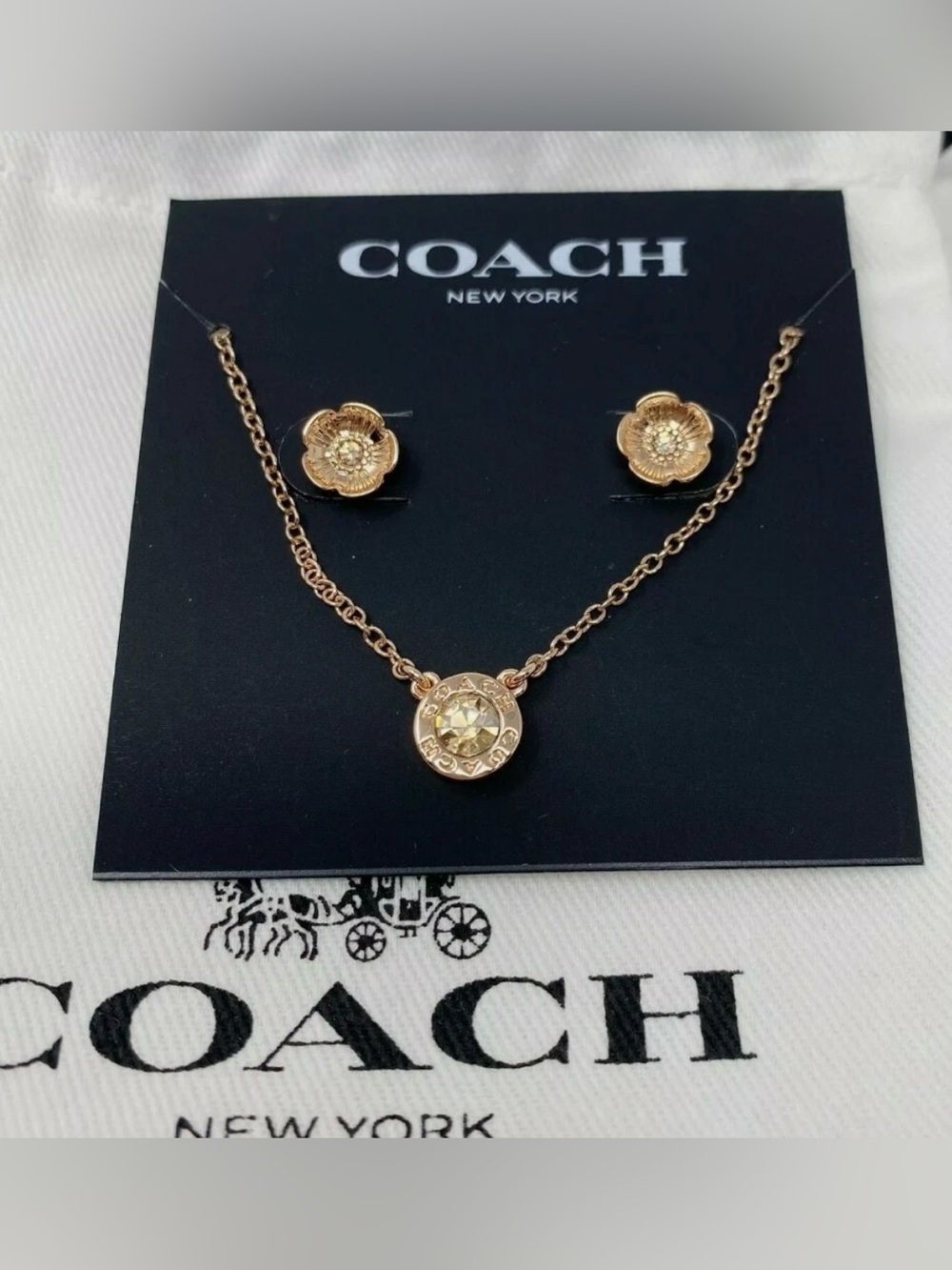 NWT -🩵COACH 2pcs Open Flower Rose gold Earrings & Necklace $129